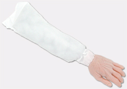 Arm
