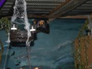 alter Schuppen mit Wandmalerei und Gespenster an der Decke