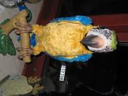 Dekoration ist wichtig