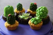 Mit ganz viel Liebe gestaltete Kakteen-Cupcakes, die zum Glck nicht im Mund pieksen!