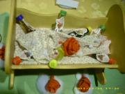 Traurig, aber wahr. Der Sarg der sieben Zwerge.