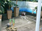 Das Opfer und der legendre Schatz